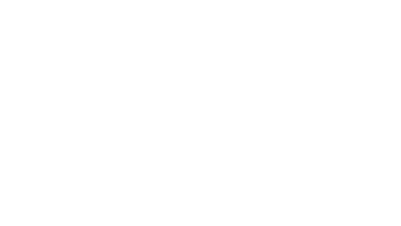 NANOSECOND